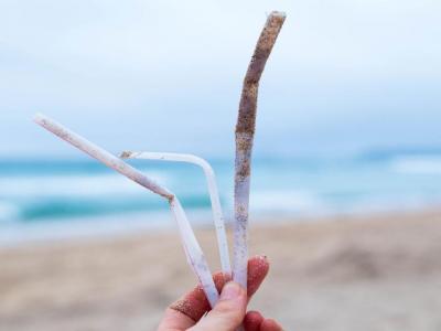 Pailles en plastique trouvées sur beachclean
