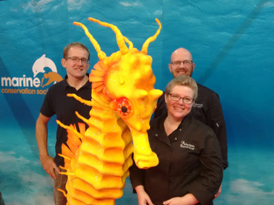 Seahorse_Cake_News2