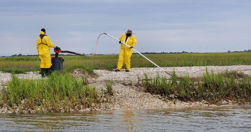 Une équipe de nettoyage du rivage pulvérise un revêtement de mousse de sphaigne sur l'herbe des marais mazoutés près de la rivière Frederica