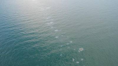 Un éclat d'huile saisonnier le 29 août 2022, près de Destin, en Floride. La Garde côtière et le Département de la protection de l'environnement de Floride surveillent les déversements périodiques d'hydrocarbures du Liberty Ship Thomas Heyward.  (Photo : Joshua Ronkowski / US Coast Guard)